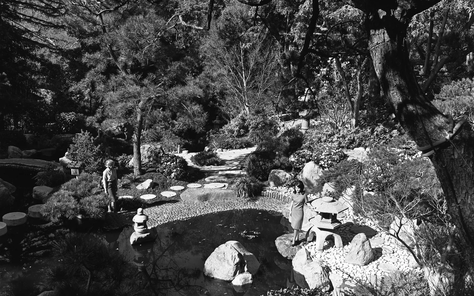 The serene Japanese garden at Hannah Carter, featuring stone lanterns and carefully pruned trees in a tranquil setting